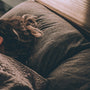 Person sleeping peacefully - understanding obstructive sleep apnoea