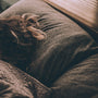 A person sleeping peacefully in bed as soft daylight comes through the window blinds