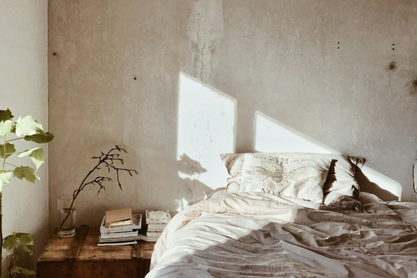 A calm, cosy bedroom with a leafy green plant beside a neatly made bed
