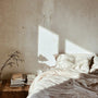 A calm, cosy bedroom with a leafy green plant beside a neatly made bed