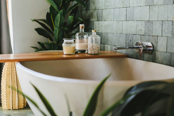 A calm bathroom with a bathtub and an indoor plant